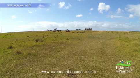 12. Levanta Velho.00_00_46_10.Quadro018_73c2712fa6ba67eb04426ad40d7b2209384617e2.jpg